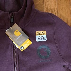 Carhartt Force Delmont Graphic Zip Hoodie